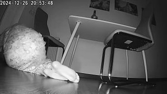 Cheating Wife And Her Best Friend’s Sexual Adventure