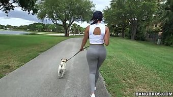 Diamond Kitty'S Big Ass Takes Center Stage In Anal-Filled Movie
