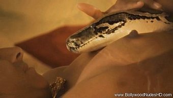 Ebony Goddess Awakens With A Sensual Snake Dance