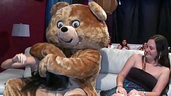 Cfnm Event With Dancing Bears And Face Fucks