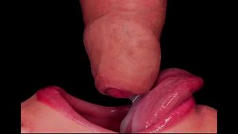 The Hot Mouth Woman Swallows The Big Cock Cum