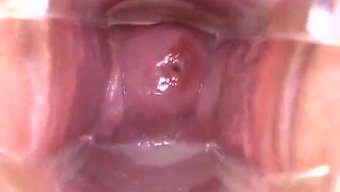 Close Up And Personal: High Definition Analingus And Cunnilingus