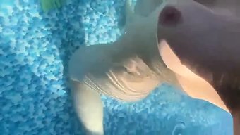 Young German Girl With Great Assets Enjoys A Solo Pleasure In The Pool.